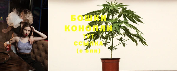 стаф Заволжье