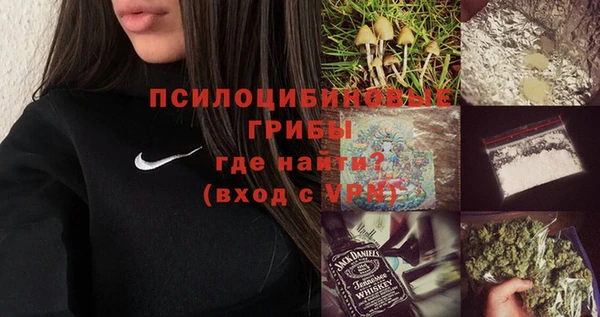 PSILOCYBIN Елабуга